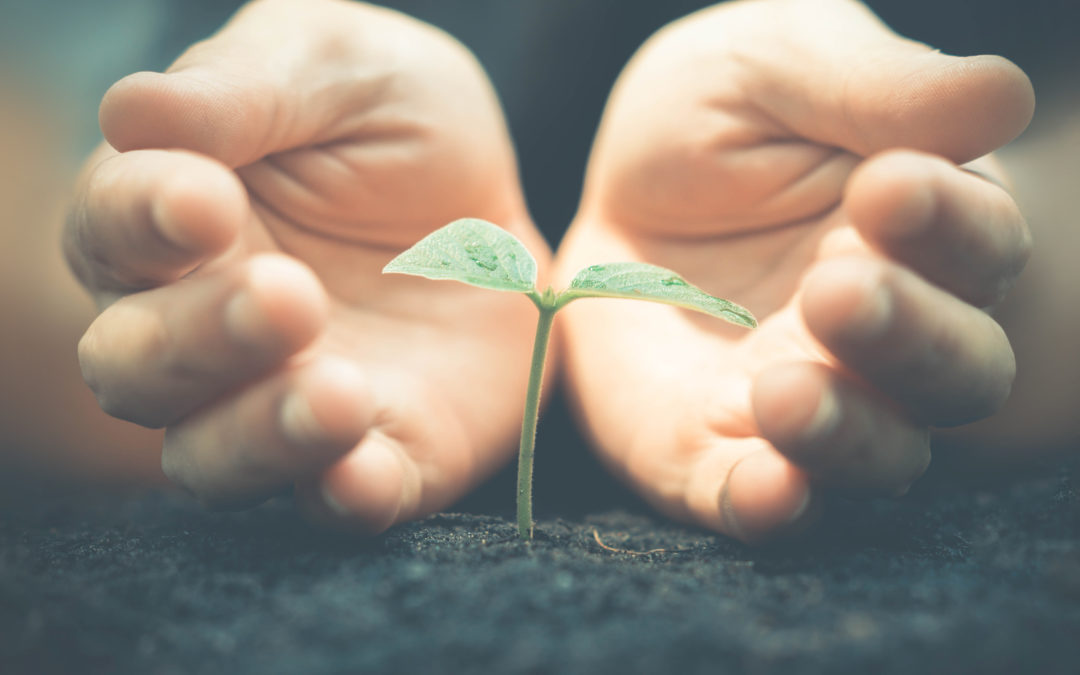 Growing the Seeds of Change