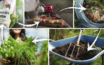 Down & Dirty with Compost