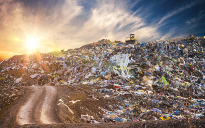 More (Deception) Than Meets the Eye