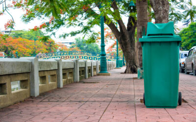 Who Has Made The Switch?