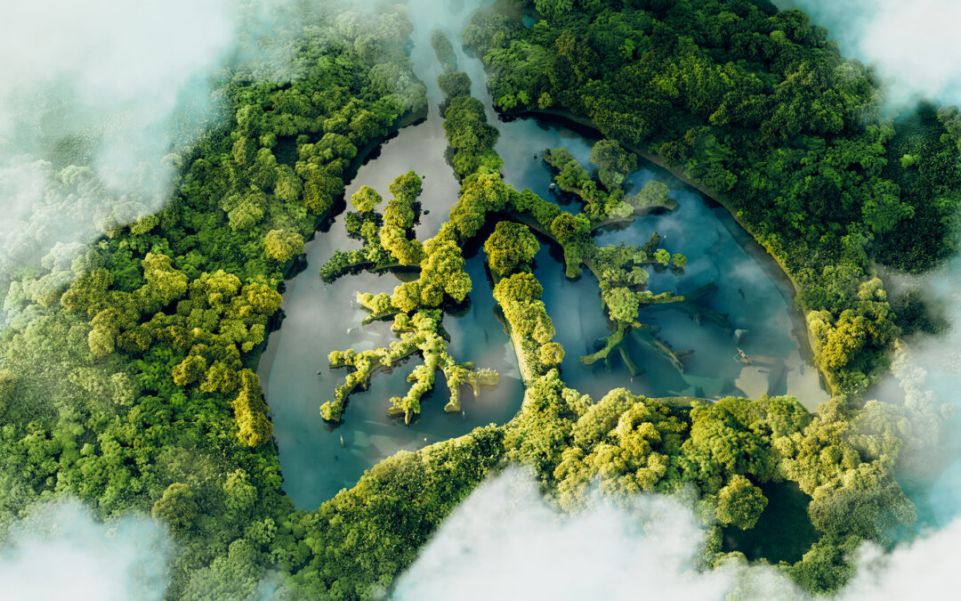 Mythbusting Single-Use Paper Bags: Do Good Things Come in Trees?