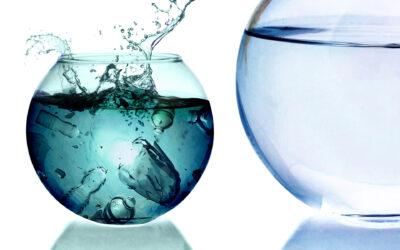 How to Successfully Ban Plastic