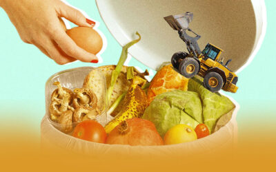 Facilities: Their Strengths and Their Weaknesses