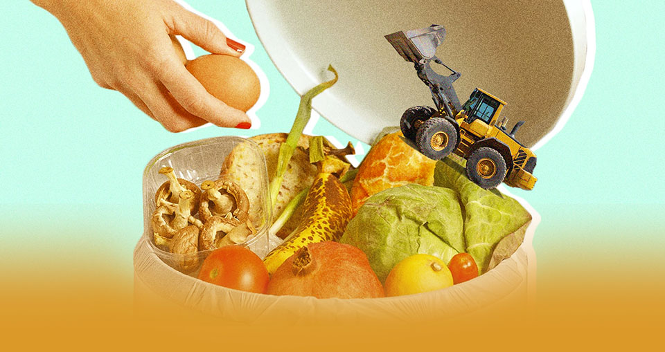 Facilities: Their Strengths and Their Weaknesses