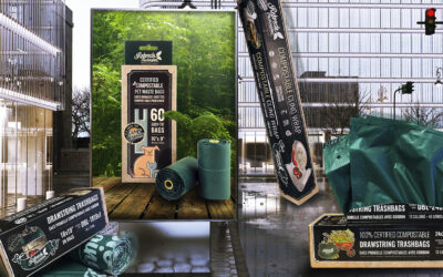 Check Out The New Kids On The Block